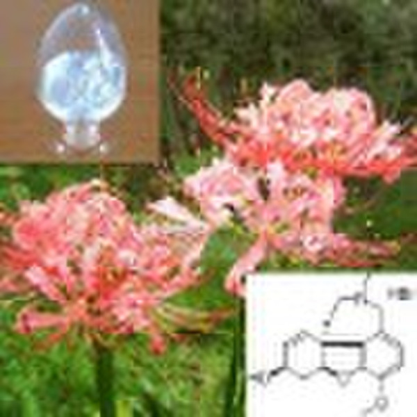 Lycoris radiata extract: Galanthamine hydrobromid