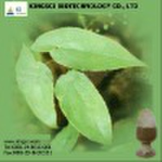 Epimedium Leaf Extract  Icarrin 10% HPLC(manufactu