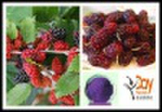 Mulberry Fruit Extract--Anthocyanin 25% tested by