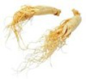 Ginseng Extract