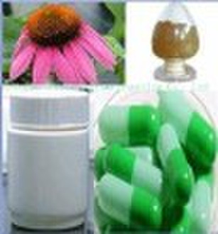 Echinacea Purpurea Powder Extract