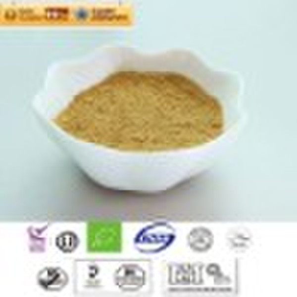 Organic White Tea Powder