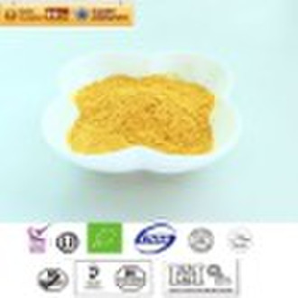 Spray dried Pumpkin powder