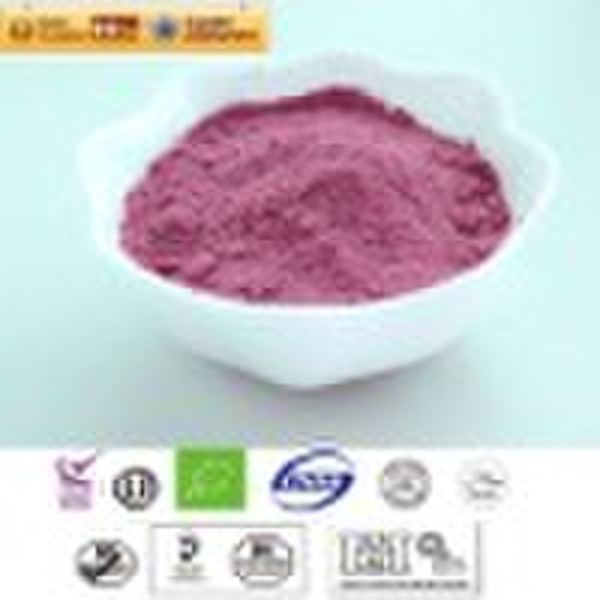 Freeze dried blueberry juice powder