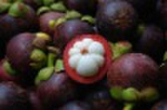 Mangosteen P.E.-08