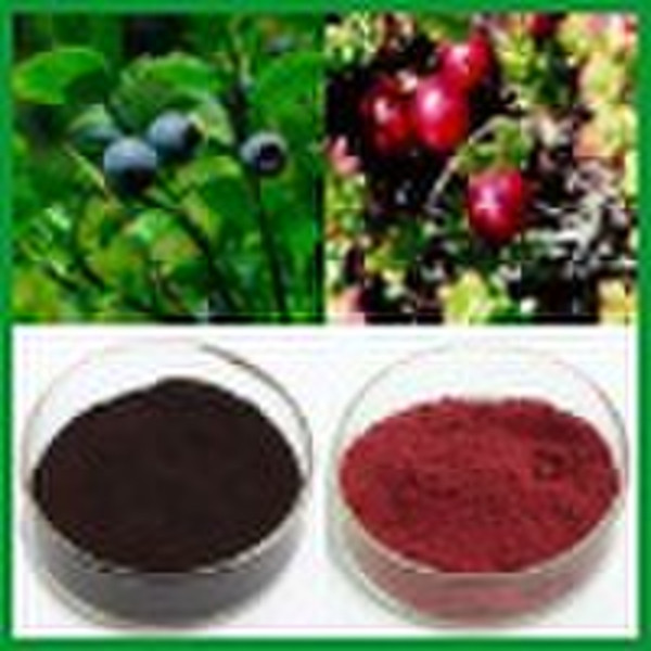 Bilberry Extract