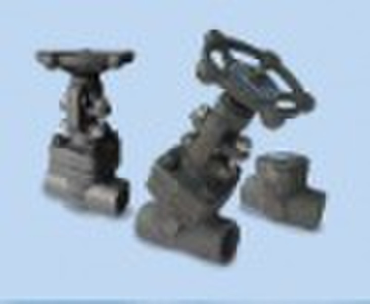 forged steel valve