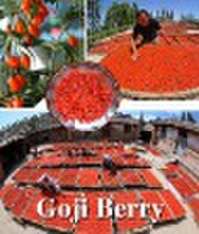 2010 new crop goji berry