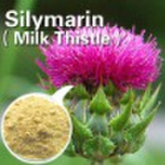 Milk Thistle extract 80% silymarin by UV