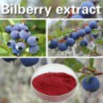 Bilberry extract for antioxidant