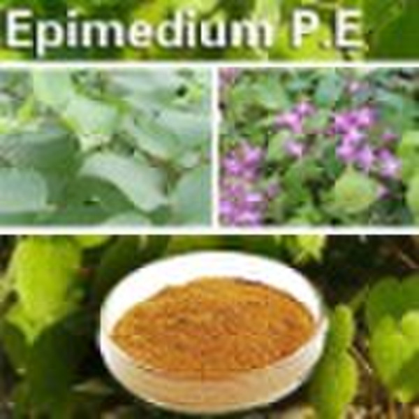 High quality Epimedium extract