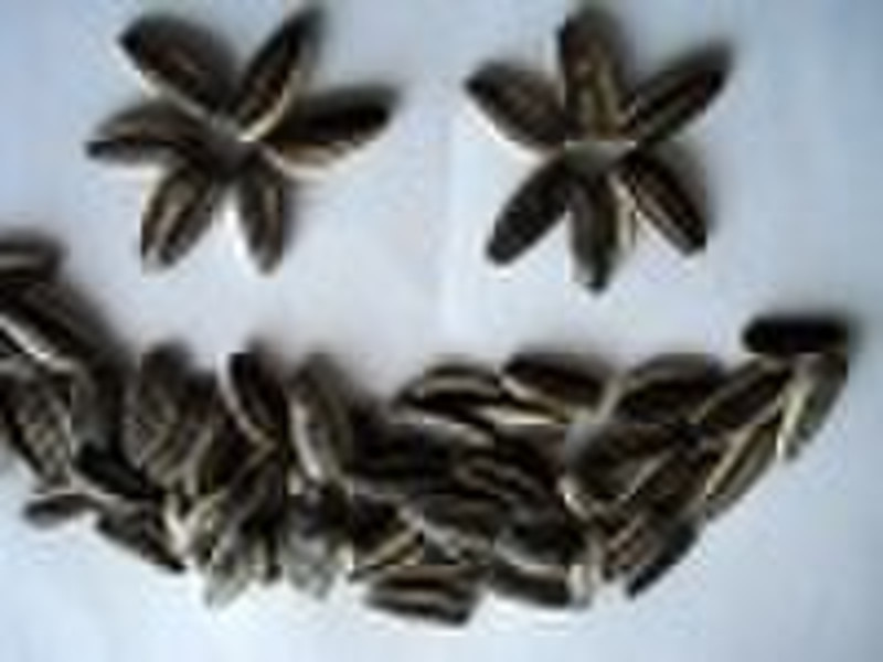 sunflower seed(American seeds)