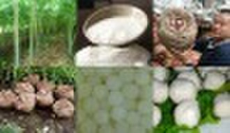 highly purified konjac gum