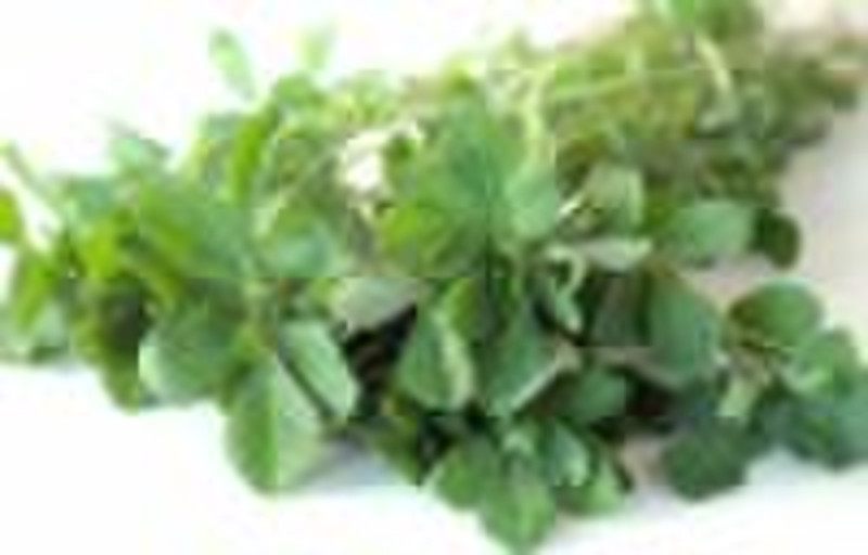 Fenugreek Extract