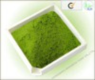 Matcha Tea powder