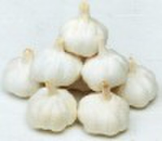 Garlic Powder Extract/Allicin  1.0%  0.8%  0.6%