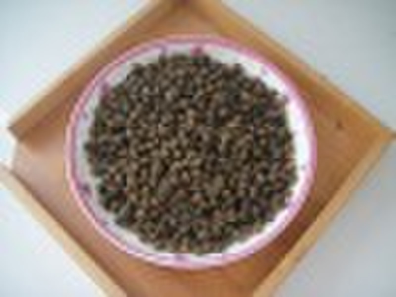 Black Dragon Pearl A