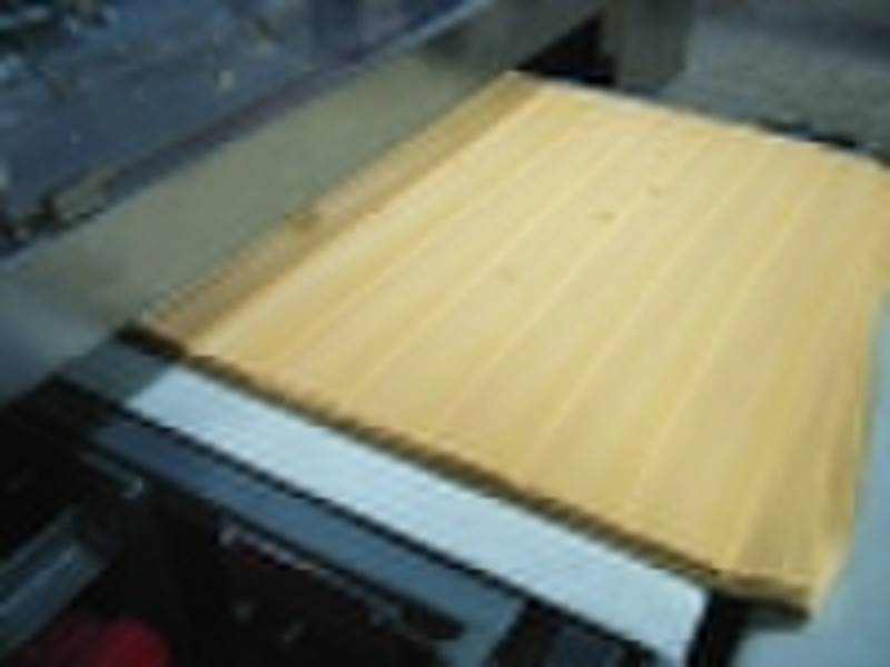 Laminator