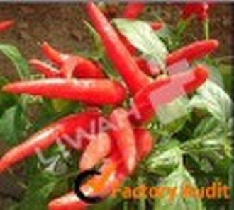 Capsaicin (Natural) USP