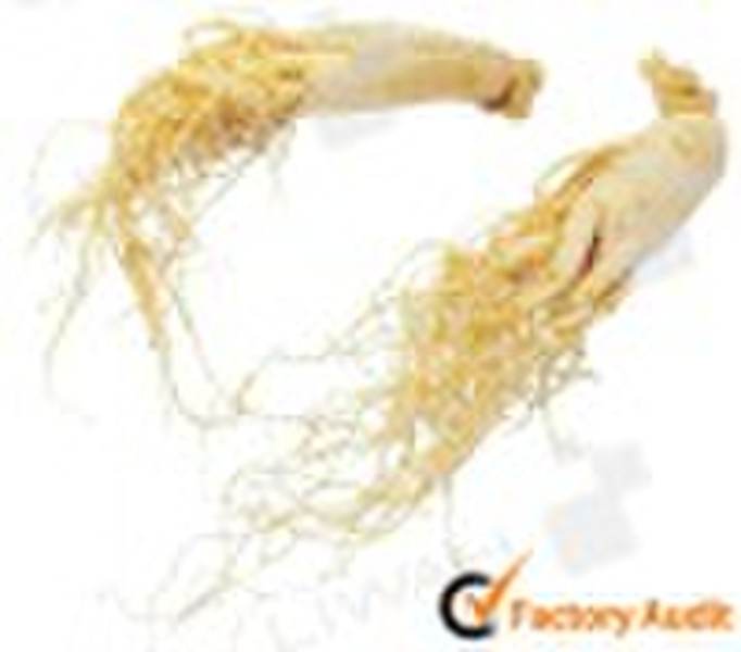 Ginseng Extract