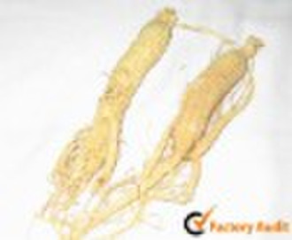 Ginseng Extract