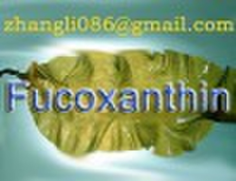 Fucoxanthin for lose weight