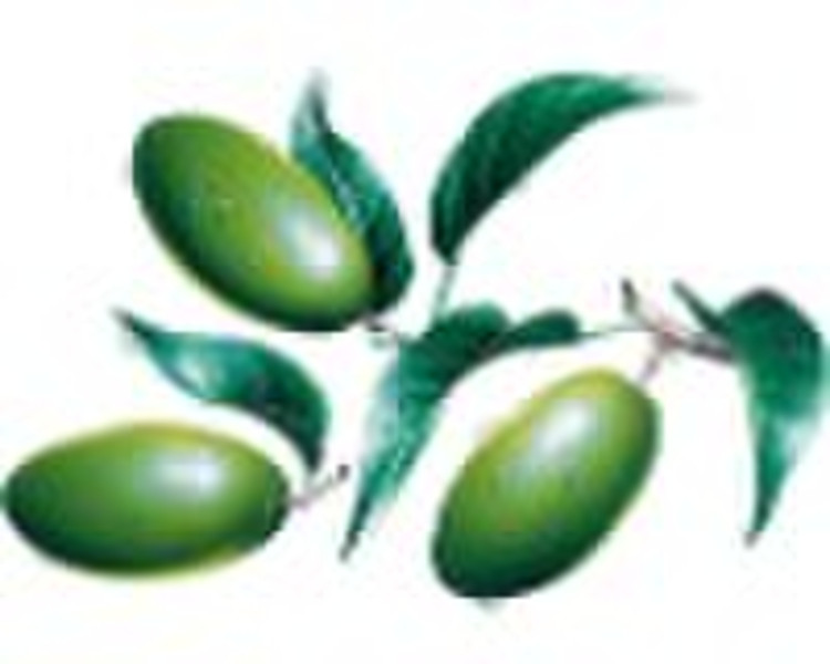 Olive leaf extract