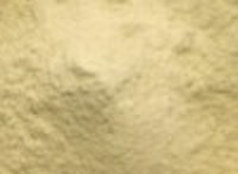 Garlic Extract Powder (5.0% Alliin)