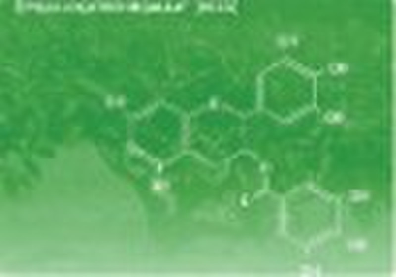 Epigalocatechin-3-gallate (EGCG)