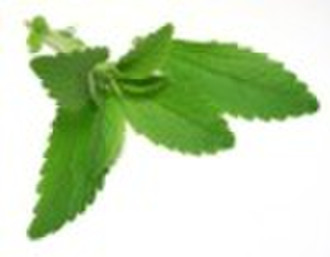 Stevia Extract