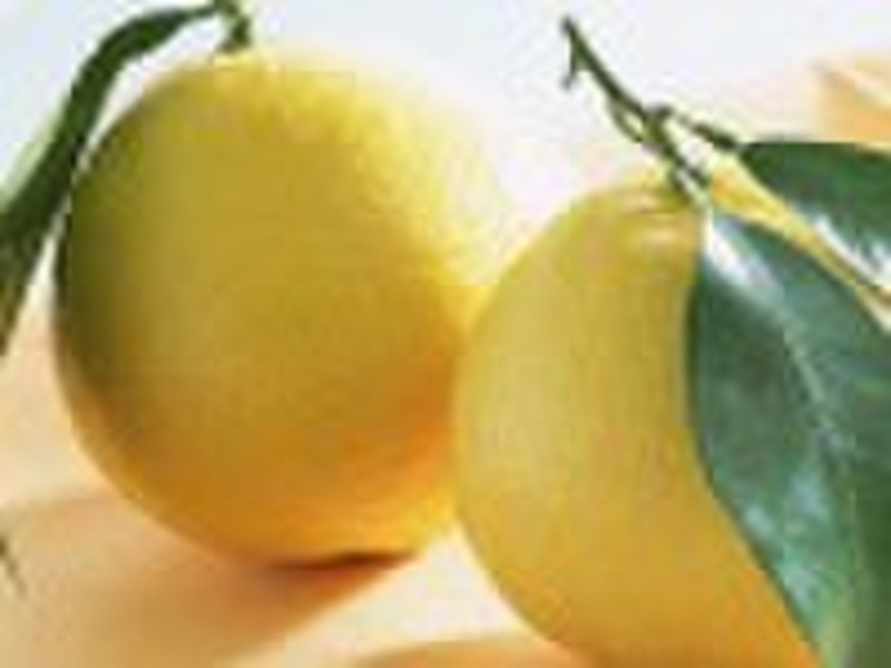 GuanXi fresh pomelo