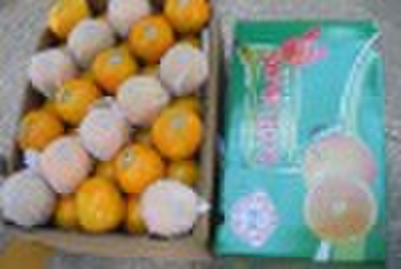 Newhall navel orange