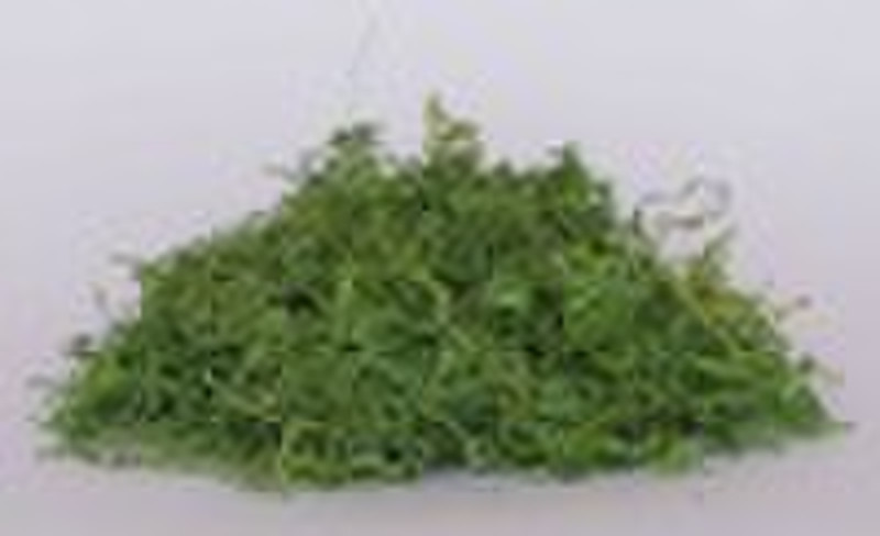 jiaogulan,jiaogulan herb,jiaogulan tea,tea,herbal