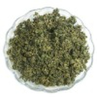 jiaogulan,Fiveleaf Gynostemma Herb,Gynostemma pent