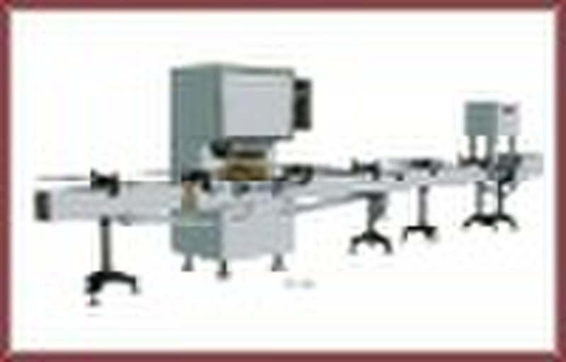 DZG-CX64 piston filling machine