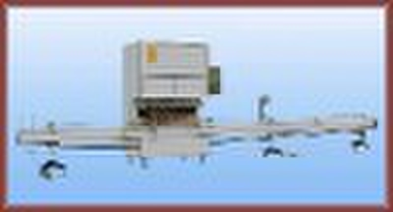 DZG-AX68 oil packing machine