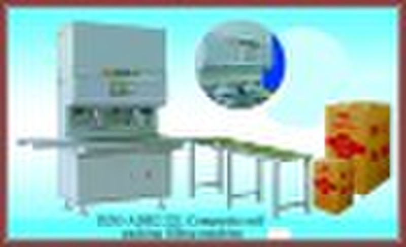 DZG-ADR2 bag filling machine