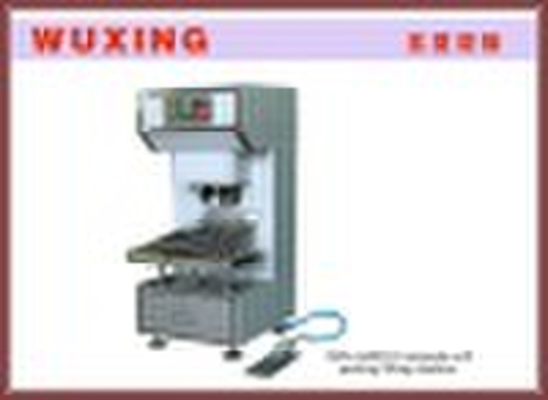 DZG-ADRJ1 BIB bag filling machine