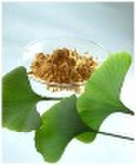 Ginkgo biloba extract (USP30/32)