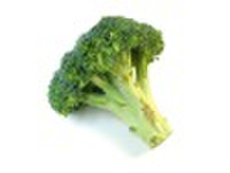 Broccoli Seeds Extract (Sulforaphane) (SFN)