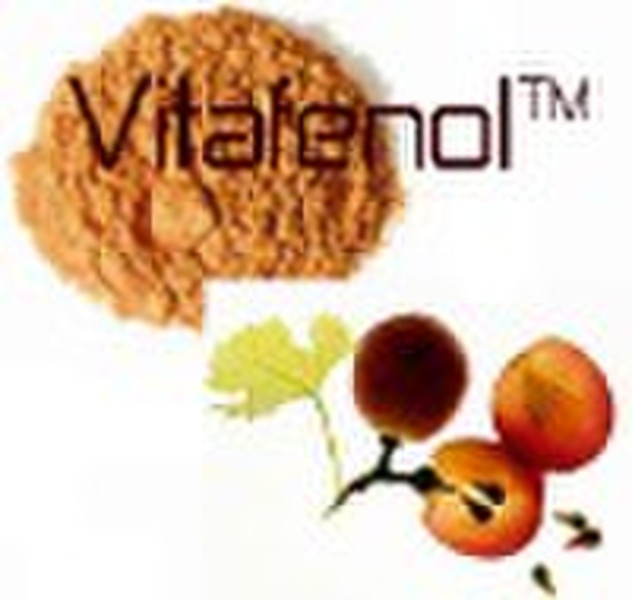 Vitafenol - Grape Seed Extract