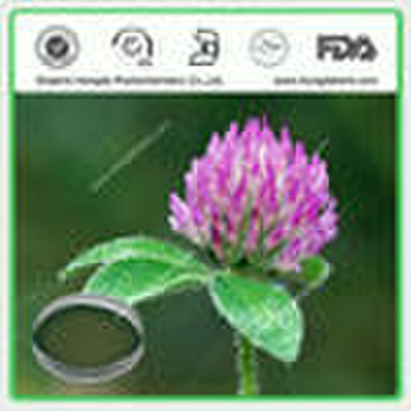 Red Clover extract,Biochanin A