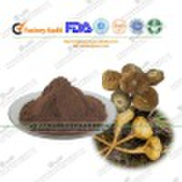 Maca Extract