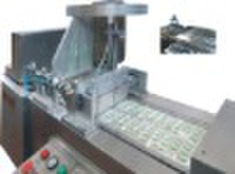 Mechanical (Cold) Forming and Big Pill Feeder