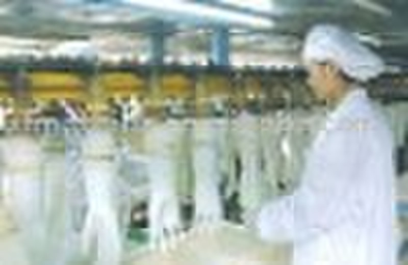 PVC Glove Production Line