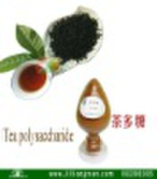 tea polyphenol