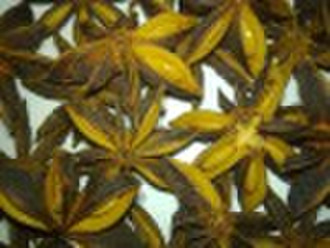 Star Aniseed