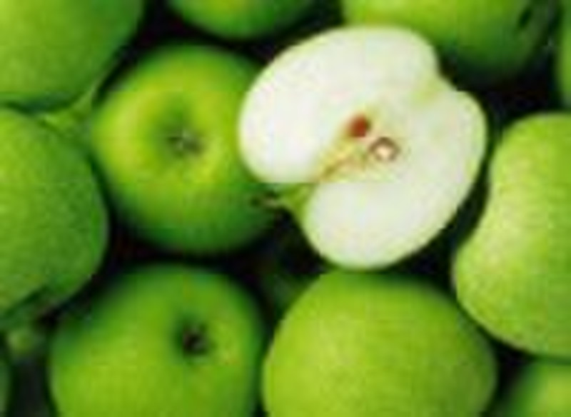 Apple extract (Apple Polyphenol & Phloretin &a