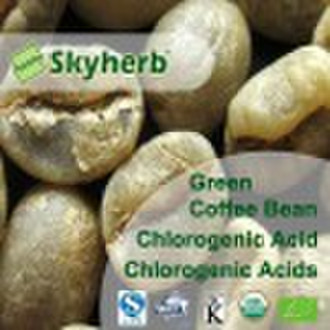 Green coffee bean Extract /Chlorogenic acid