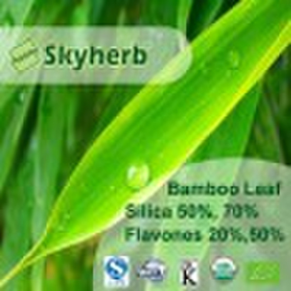 Bamboo leaf Extract